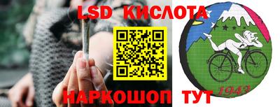 a pvp Славгород