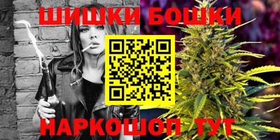 a pvp Славгород