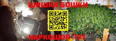 крисы Славянск-на-Кубани