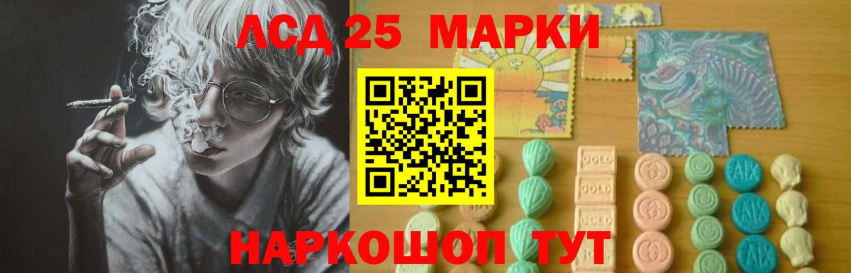 Псилоцибиновые грибы Обь