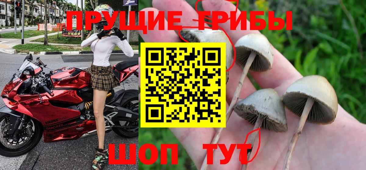 Псилоцибиновые грибы GOLDEN TEACHER  Вход с VPN  Обь 